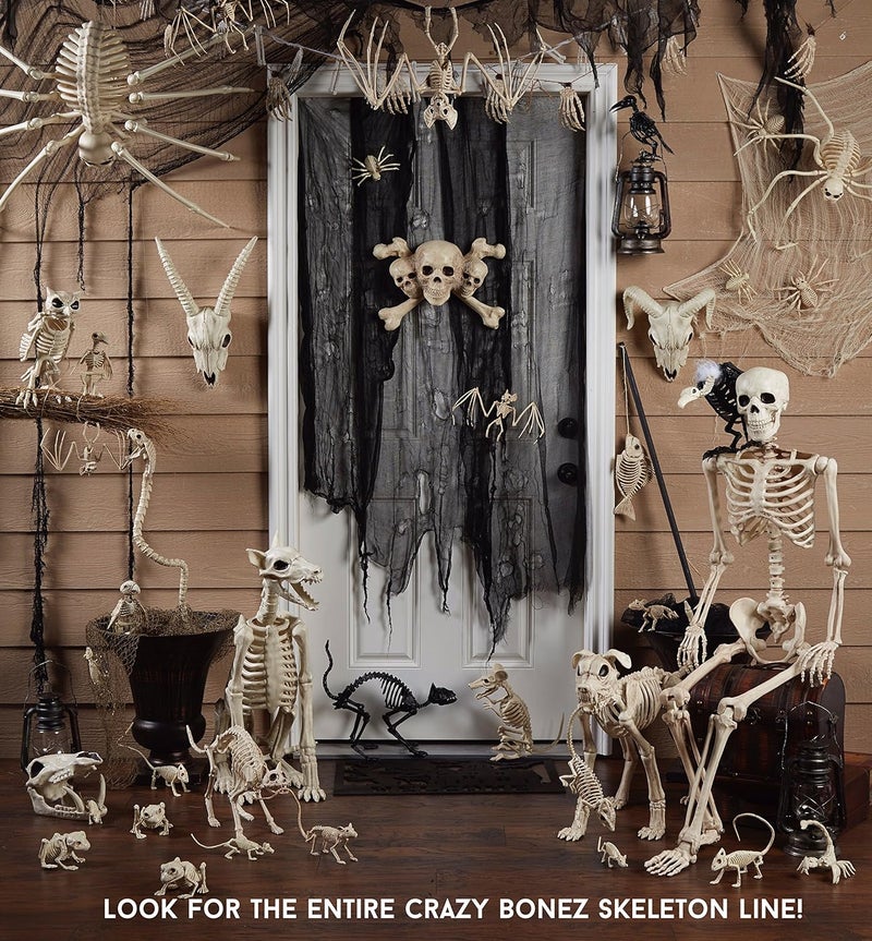 Crazy Bonez Cute Skeleton Cat - Image 4